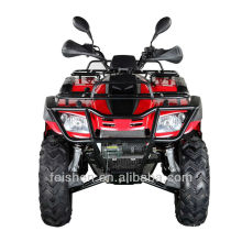 China Lieferanten Buyang Fahrzeug 300cc ATV (FA-D300)